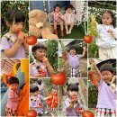 구립 큰별어린이집 이미지