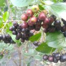 순일농장 이미지