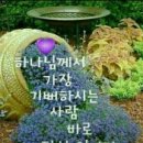 베베 이미지
