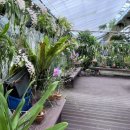 이원약품 이미지