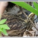 새들민박 이미지