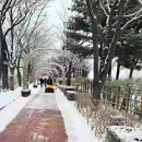 장미공원길 이미지