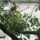 동일농약사 이미지