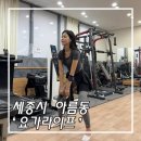 아름초등학교 | 세종시 아름동 재활요가학원 지도자반 요가라이프
