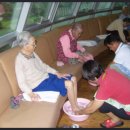 논산시 벌곡면 주빌리너싱홈 | 논산 벌곡면 신양리 주빌리너싱홈 요양원에 대전블라인드스토리가 콤비 롤블라인드(방염)을 설치해...