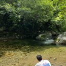 미사리촌집 이미지