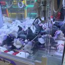 캑티 가챠샵 안산중앙점 이미지