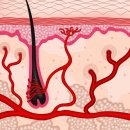 미인의원 이미지