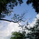 마음의 문 이미지