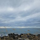 풍차식당 이미지