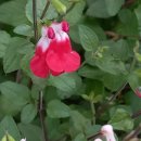 임한의원 이미지