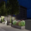 장미의거리7 이미지