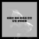 몸편안한의원 이미지