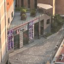 푸른푸릇 이미지