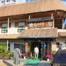 천년비법 옻닭 이미지