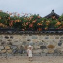 수로왕릉(김해시 서상동 335-1) | 김해 수로왕릉 능소화 아이랑 나들이 주차장 정보 안내