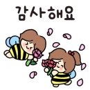 다민채