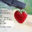 그리운 말 한마디 이미지