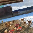 채율농장 이미지