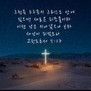 2025년 01월의 정리📑