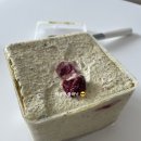 너티체리 이미지