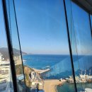 피노키오뮤지엄 | 강릉 아르떼뮤지엄 후기｜강릉 가볼만한곳, 인생샷 남기기 좋은 실내 여행지