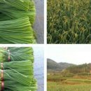 남해-191 이미지