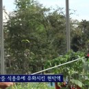 계란으로 만드는 친환경 농자재 이미지