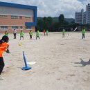 보산초교 앞 이미지