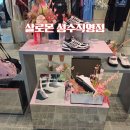 살로몬 성수 직영점 XT-4 샤크 스킨 XT-6 콘크리트 정글 사이즈 팁(+뉴발란스 610 사이즈 비교)