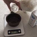 본덴탈 | ​본아페티 덴탈드링크 후기: 마시는 치약으로 강아지 치석제거 관리방법