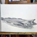 약사초등학교 이미지