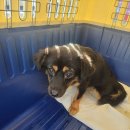 칠원119안전센터 이미지