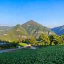 청량산 임도2 이미지