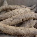 사상참경희한의원 이미지