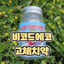 [비코드에코고체치약] 여행용치약으로 딱인 신세계백화점 센텀시티점 비코드에코고체치약 고체치약 추천