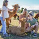 (주)친환경 이미지