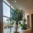 적벽강가든 | 부안 변산반도국립공원 격포해수욕장 소노벨변산 내부 외부 숙박후기 석양 노을이 아름다운 곳