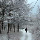 겨울여행 이미지