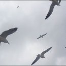 해와 바다 이미지