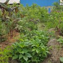 우석농장 2 이미지