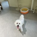 멍풀하우스 이미지