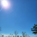 거북섬작은도서관 이미지