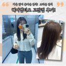 헤어엠 | 가을맞이 톤다운 브라운 염색! 안산 염색 잘하는 집 헤어엠티오 방문후기!