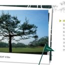 금잔디 골프 클럽 이미지