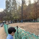 늘솔길근린공원(4호) 공원화장실 이미지