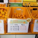 공항길귤창고