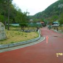 좌구산 캠핑공원 이미지