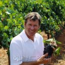 꿈을찾아서 이미지