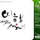 연캘리그라피디자인 이미지